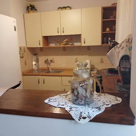 公寓 Sunny Right By The Sea Ražanj